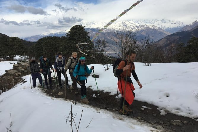Mardi Himal Trek -5 Day Short Trek From Pokhara - Day 4: Mardi Base Camp and the best mountain views