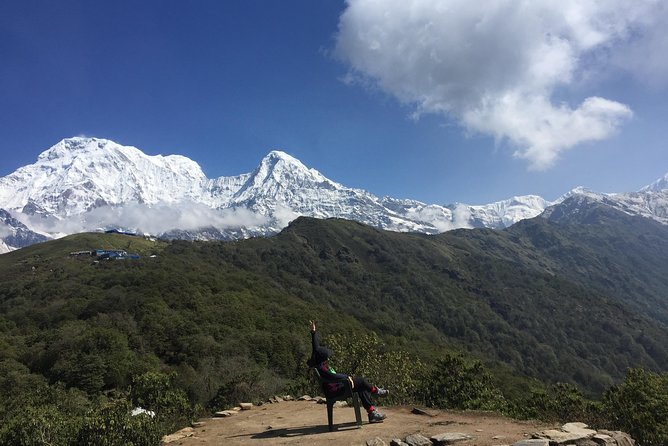 Mardi Himal Trek - 8 Days | Hidden Gem of the Annapurnas - Day 7: Descent, settlements, and a free evening in Pokhara