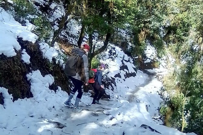 Mardi Himal Trek - Guides, planning, and the private-group advantage
