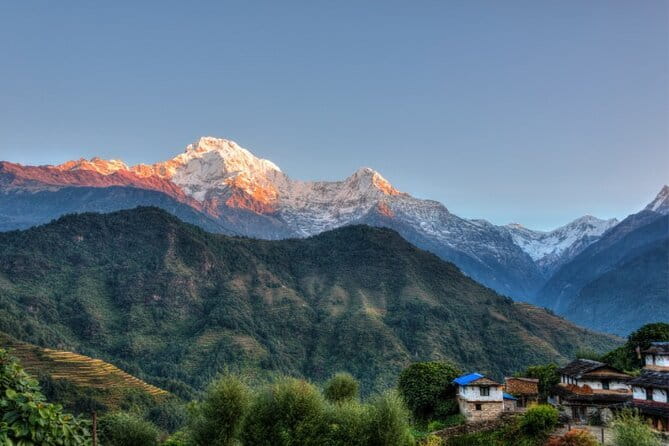 Mardi Himal Trek - Day 2: Pitam Deurali to Forest Camp through the trees