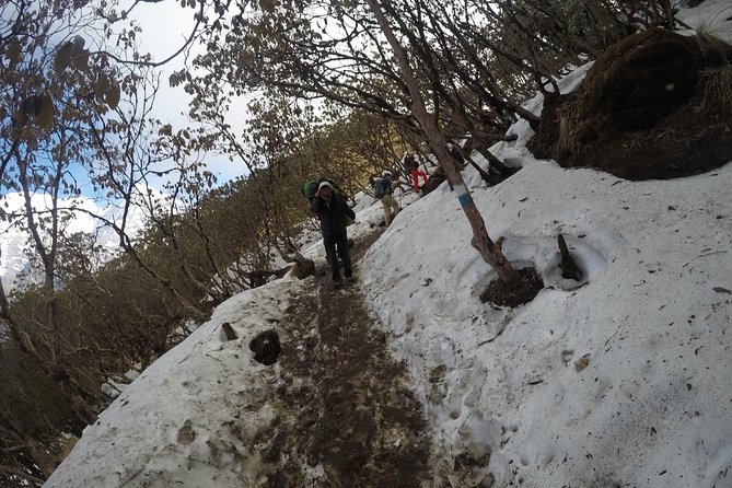 Mardi Himal Trekking - Guides who can make the difference