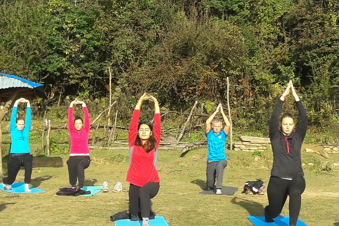 Mardi Himal Yoga Trek - Day 8: Siding, the road, and a return to comfort