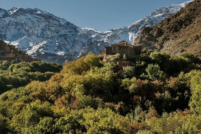 Marrakech: 2-Day Atlas Mountains Trek with Village Stay - Lunch beside the walnut grove