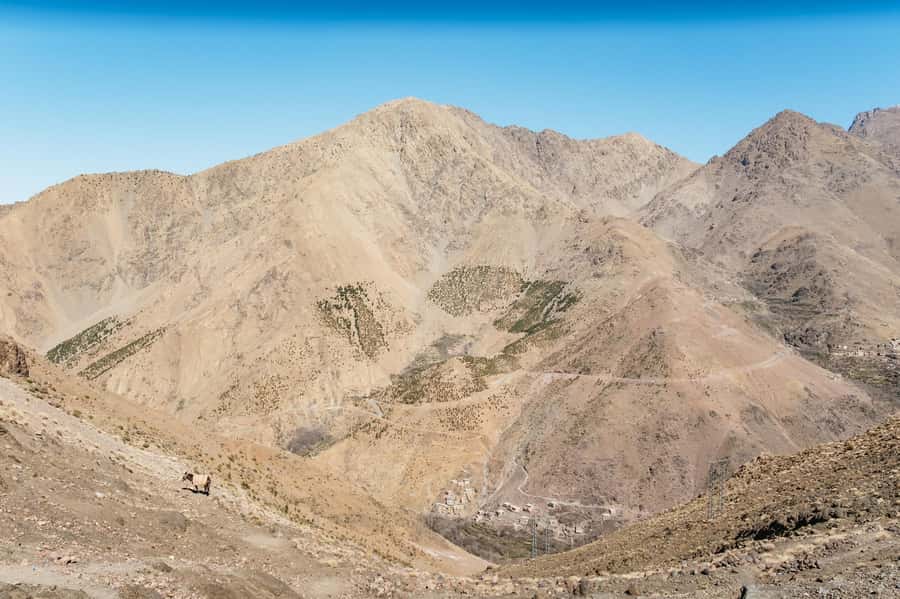 Marrakech: 2-Day Atlas Mountains Trek with Village Stay - The food, guides, and human side