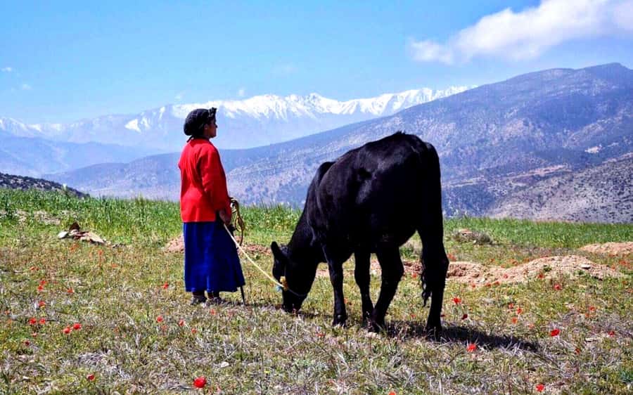 Marrakech: 2-Day Atlas Villages Trekking Tour - At a glance