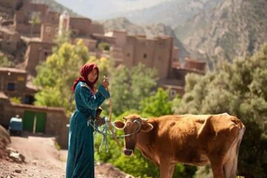 Marrakech: 2 Day Trek Atlas Mountains & Taoudja Summit 2724M - What the $90 price really covers