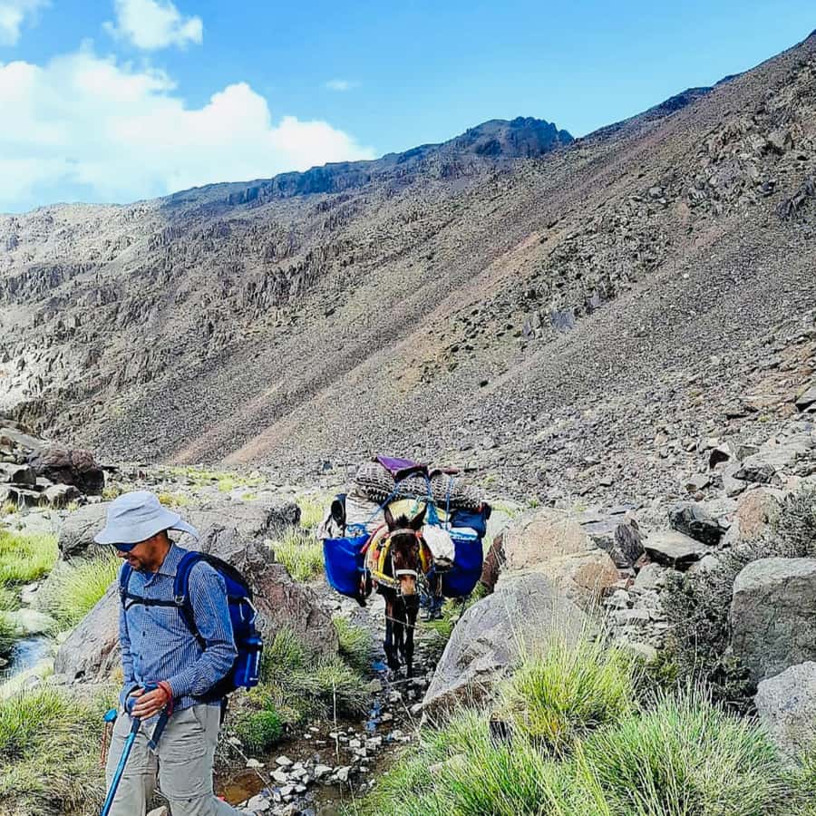 Marrakech: 3-Day Atlas Mountains Berber Villages Trek - How much value do you get for $159?