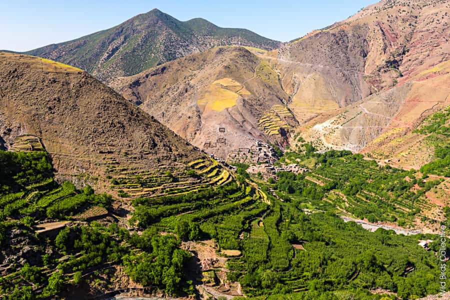 Marrakech: 3-Day High Atlas Mountains and Three Valleys Trek - Should you book the High Atlas three-day trek?