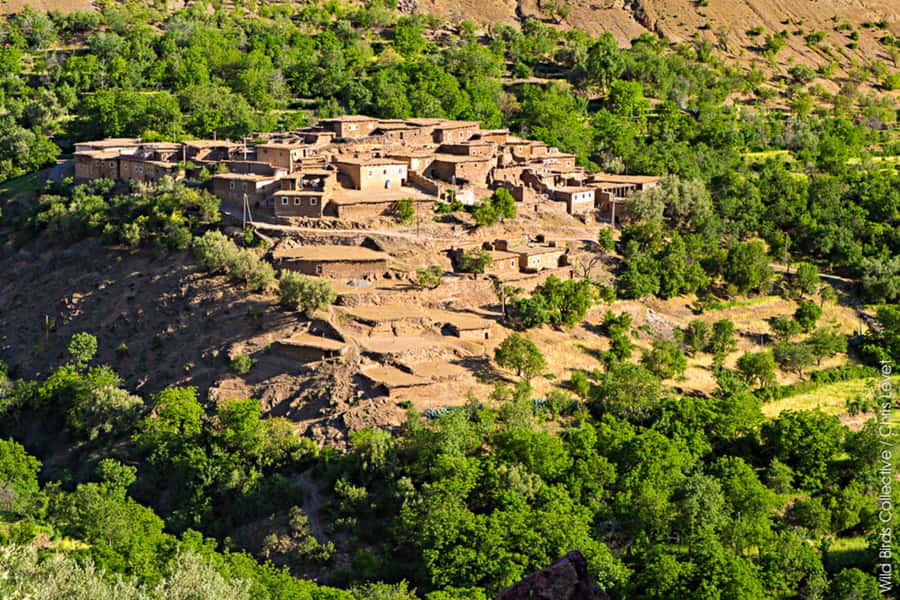 Marrakech: 3-Day High Atlas Mountains and Three Valleys Trek - Day 3: Waterfalls, Mzik Pass, and the return to Marrakech