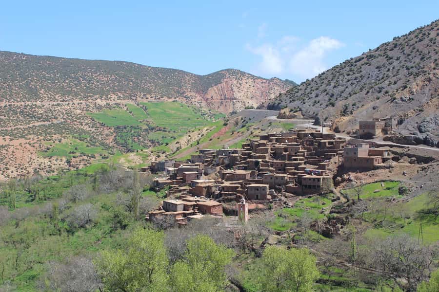 Marrakech: Atlas Mountains Summit Day Trek 2700m - Through Tamaterte and the pine forest