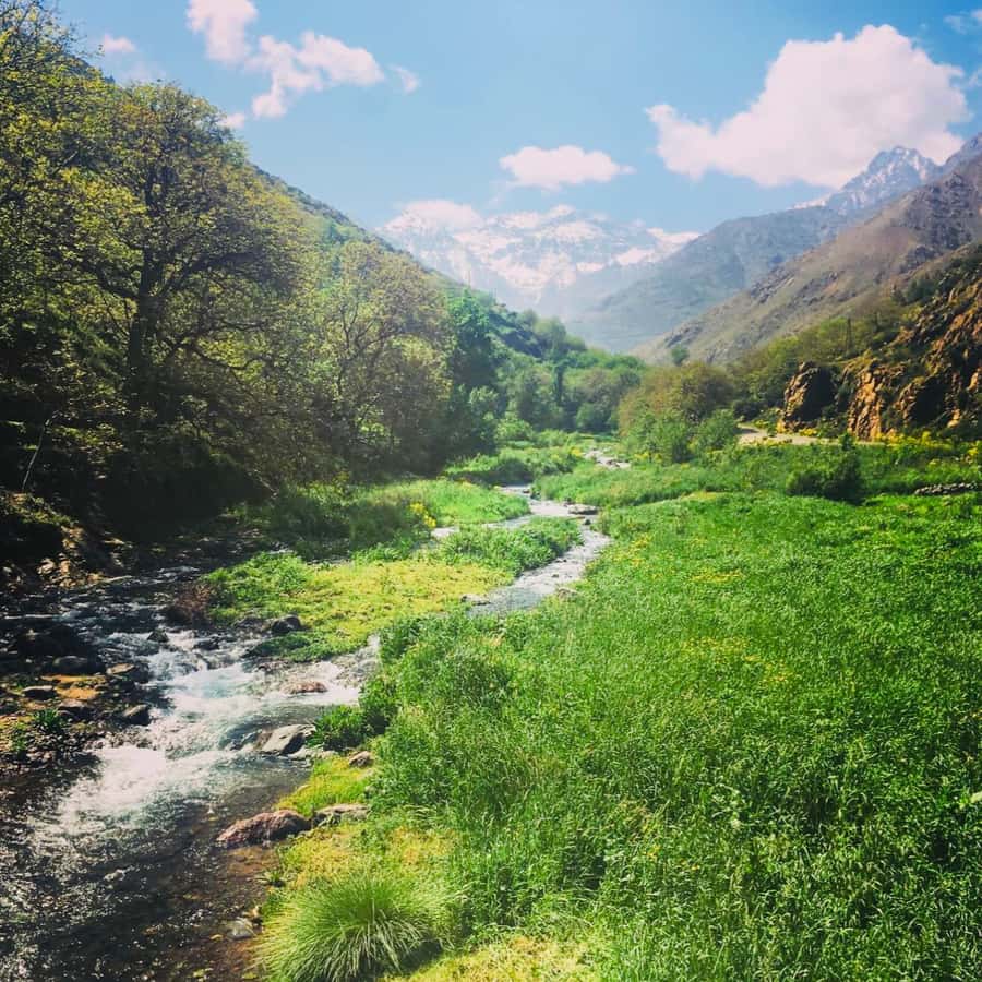 Marrakech: Guided 2-Day Trek to Imlil and Imnan Valleys - Who should book this trek?