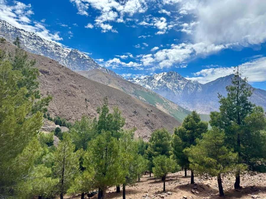 Marrakech: High Atlas Tedali Summit Guided Day Trek - From Marrakech to the High Atlas in 90 minutes