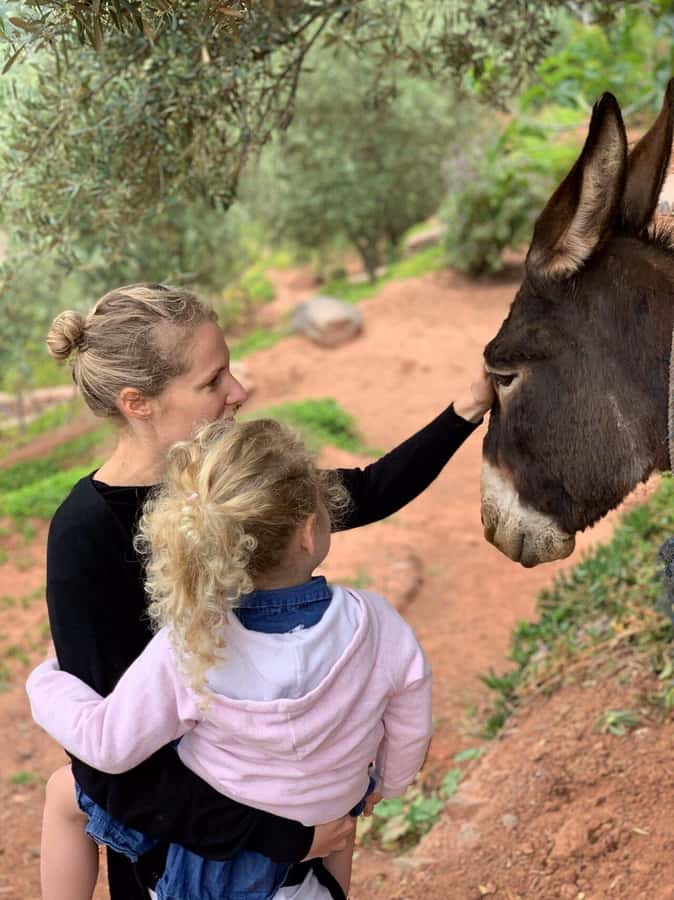 Marrakech: High Atlas Tedali Summit Guided Day Trek - Tea, photographs, and the return to Imlil