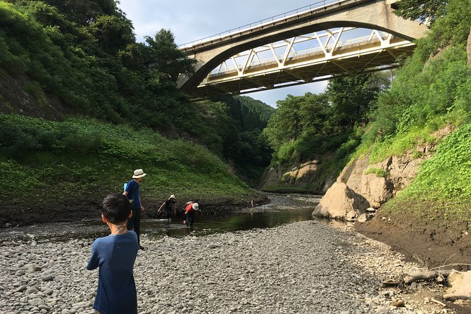 Matt Canyon River Trekking Nishiwaga Town, Iwate Prefecture - The plants, animals, and sounds of summer