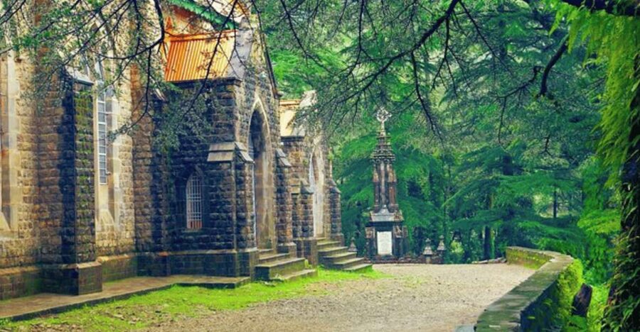 Mcleodganj Nature Trek (3 Hours Guided Walking Tour) - Dal Lake among the deodar trees