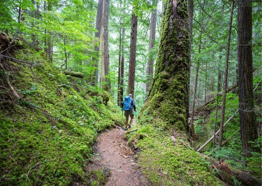 Mcleodganj Nature Trek (3 Hours Guided Walking Tour) - Naddi Village at 7,152 feet