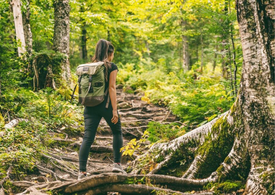 Mcleodganj Nature Trek (3 Hours Guided Walking Tour) - Namgyal Monastery and the Buddhist heart of the walk