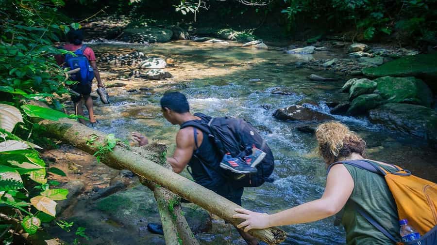 Medan: Bukit Lawang Orangutan Tour - The three-hour Bukit Lawang jungle walk