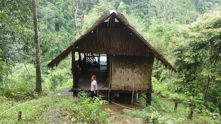 Medan: Bukit Lawang Orangutan Tour - The Bohorok River by tube or bamboo raft