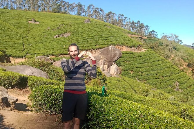 Medium Hard Trekking (munnar valley Trekking & Tours ) - Walking through Munnar’s tea country