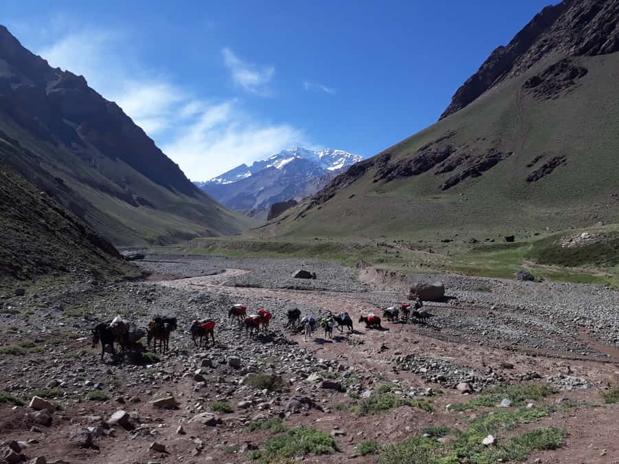 Mendoza: Mt. Aconcagua Confluencia Camp Trekking - The early pickup and the road into the Andes