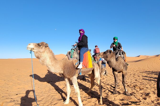 MERZOUGA DESERT TREK - 3 DAYS From Marrakech - Day 3: Sunrise, camels, and the long ride back