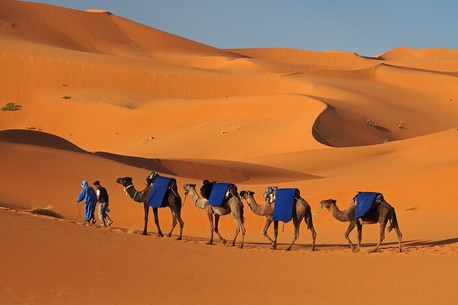 MERZOUGA DESERT TREK - 3 DAYS From Marrakech - Day 2: Todgha Gorge and the Erg Chebbi dunes