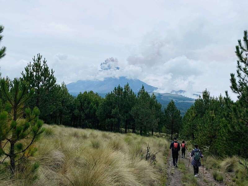 Mexico City: Guided Volcano Trek with Lunch - Food at the end: tacos, quesadillas, and café de olla