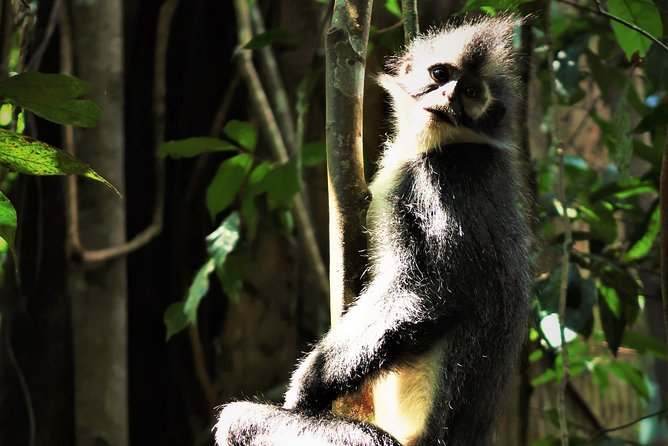Monkey Business 2 days - 1 night Jungle Trekking (including rafting) - What the guide adds to the experience