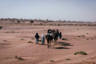 Morocco Desert Trek 4 Days: 2 days on foot in Morocco
