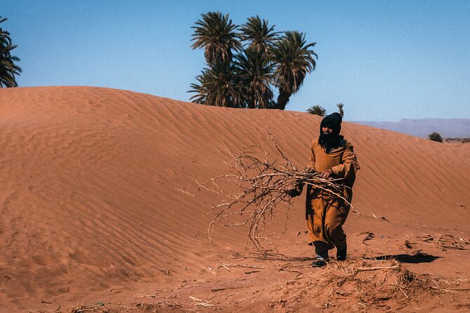 Morocco Desert Trek 4 Days: 2 days on foot in Morocco - Should you book the Morocco Desert Trek?