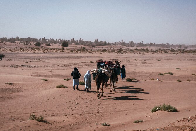Morocco Desert Trek 4 Days: 2 days on foot in Morocco - Erg Zahar and the howling dunes