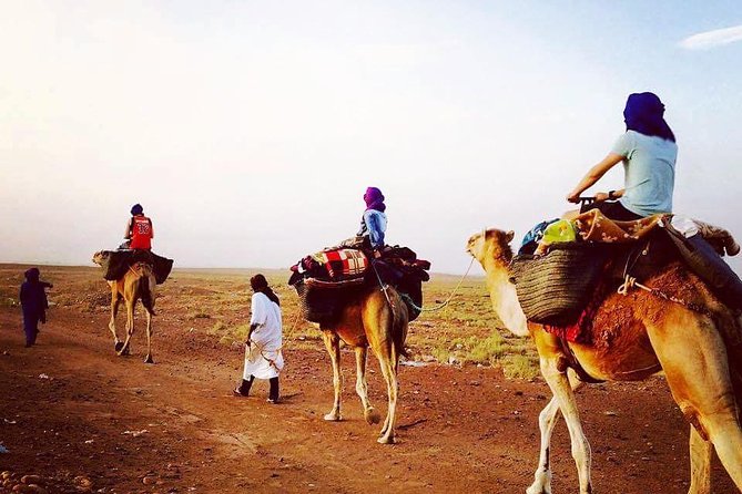 Morocco desert trek dromedary Mhamid dunes - Key points at a glance
