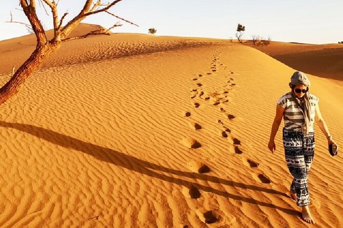 Morocco desert trek dromedary Mhamid dunes - Setting out from M’Hamid in the afternoon