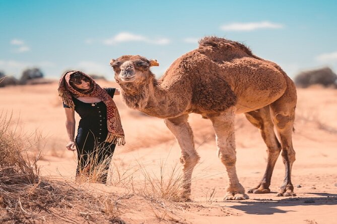 Morocco desert trek dromedary Mhamid dunes - Sunrise and breakfast before the ride back