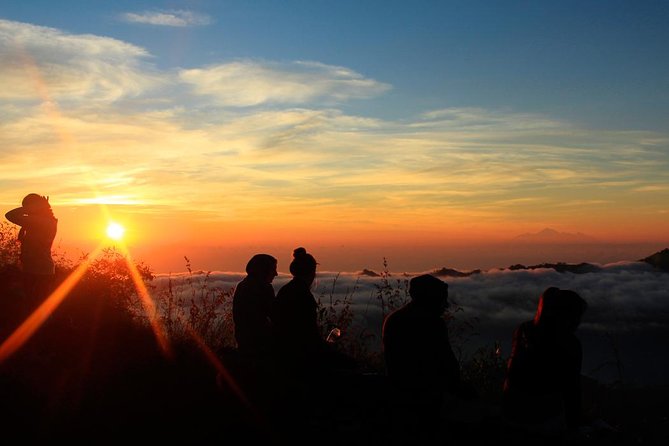Mount Batur Bali Sunrise Trekking / Jeep Tour - Free Transfer - Craters, lava flows, and possible monkeys