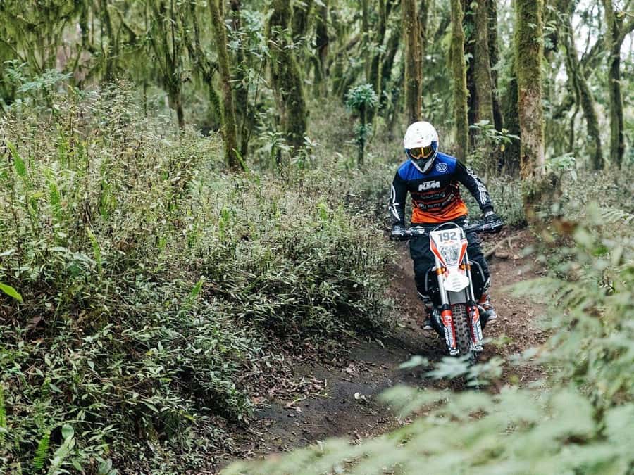 Mount Batur: Sunrise Dirt Bike Trek with Trained Riders - Who should choose this Mount Batur experience?