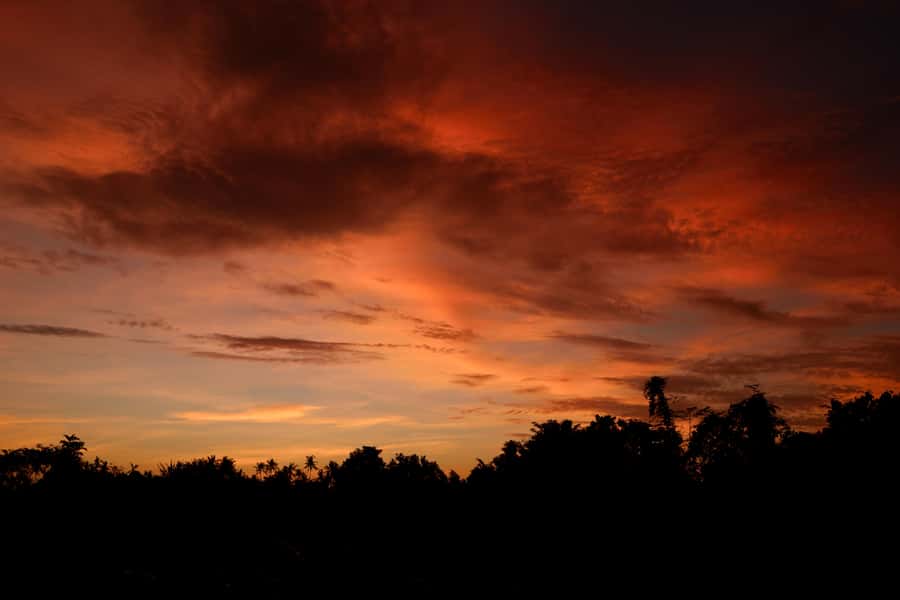 Mount Batur Sunrise Trek & Hot Springs Tour - Why the Mount Batur sunrise is worth the alarm