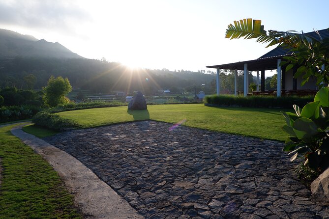 Mount Batur Sunrise Trekking Guide - The coffee plantation on the return drive