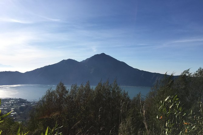 Mount Batur Sunrise Trekking & Hot Spring Tour - A Balinese coffee plantation on the way home