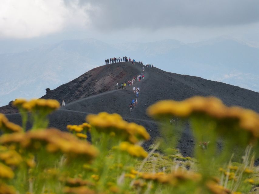 Mount Etna: Private Trek on the North Slope Craters - Beech forest and the changing face of Etna