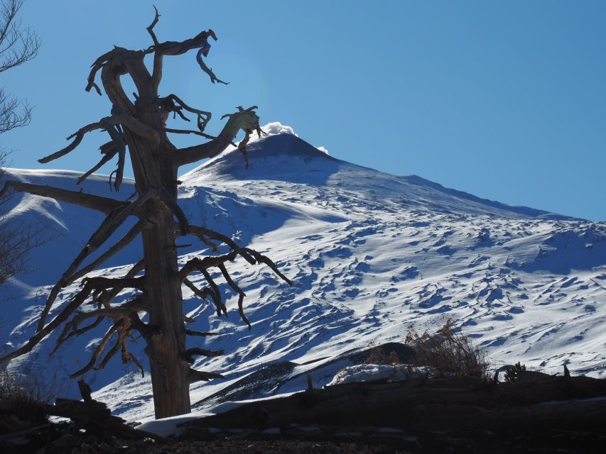 Mount Etna: Trek to the Craters of The 2002 Eruption - Why the 2002 eruption makes this walk special