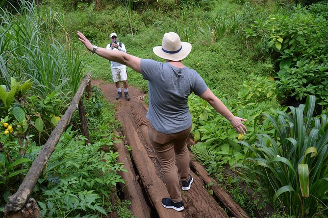 Mount Kilimanjaro day trip trekking - Lunch, drinks, and what the $90 covers