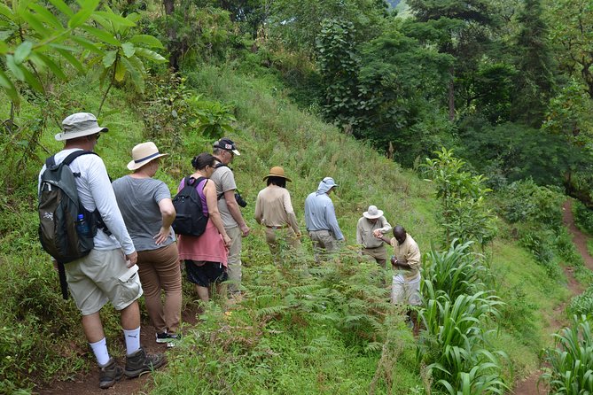Mount Kilimanjaro day trip trekking - What to pack for a smoother day