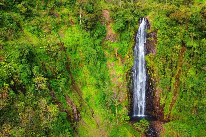 Mount Kilimanjaro day trip trekking - Guide service and the company behind the trip