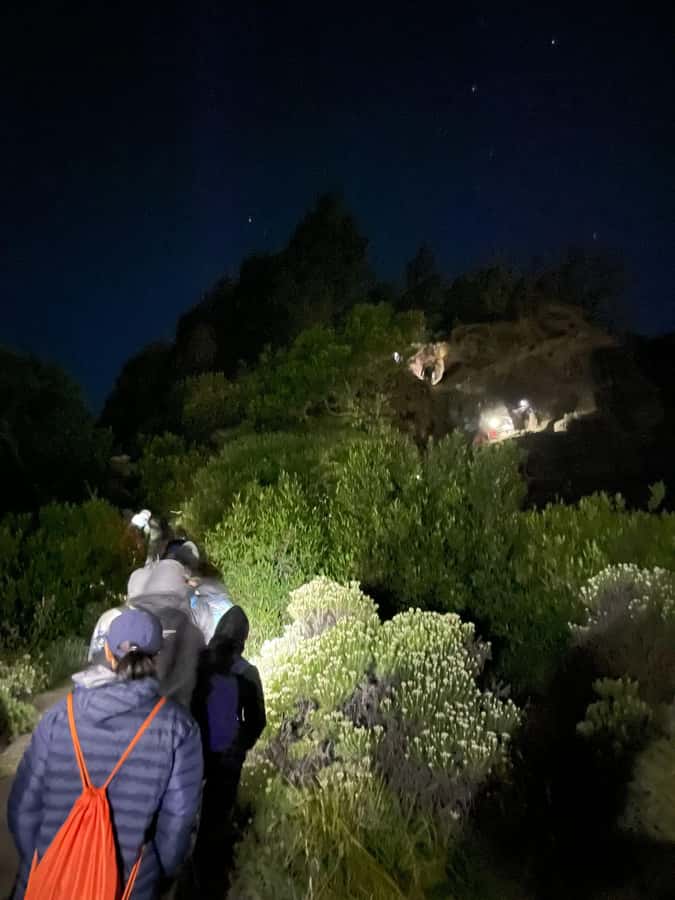 Mount Rinjani: 2D-1N Trekking Summit Sunrise Point Join Tour - What the $133 Rinjani trek really gives you