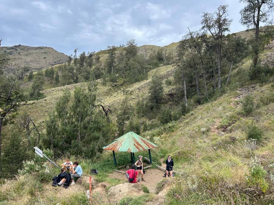 Mount Rinjani: 2D-1N Trekking Summit Sunrise Point Join Tour - Five hours downhill to Sembalun
