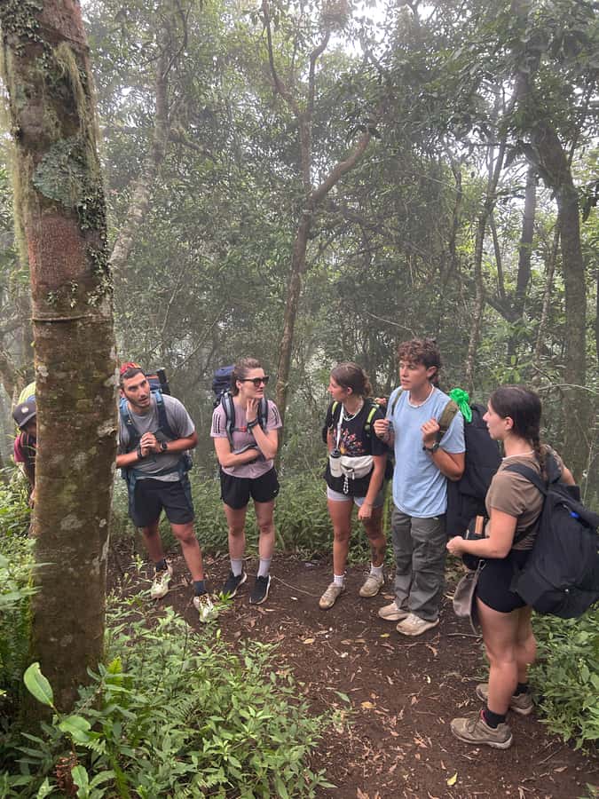Mount Rinjani: 2D-1N Trekking Summit Sunrise Point Join Tour - Camping, meals, and the level of comfort