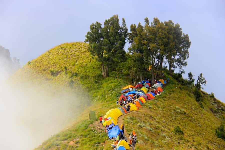 Mount Rinjani: 2D/1N Trekking To Sembalun Or Senaru Views - Key points at a glance