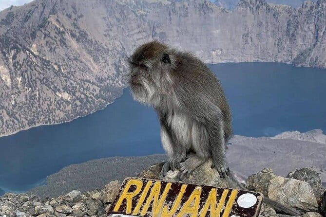 Mount Rinjani 2D 1N trekking to summit - Fitness, clothing, and what to pack